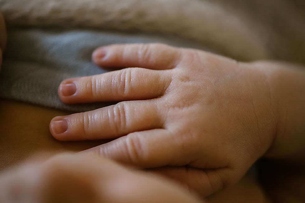 Lifestyle Newborn Session