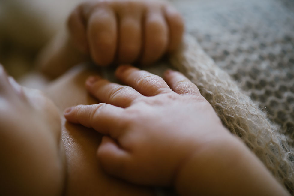 Lifestyle Newborn Session