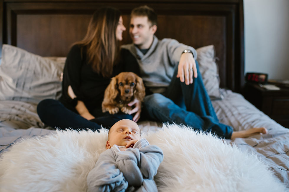Lifestyle Newborn Session