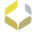 Movo flower png.png