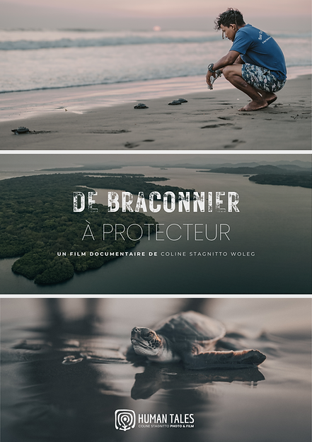 Posters (1).png