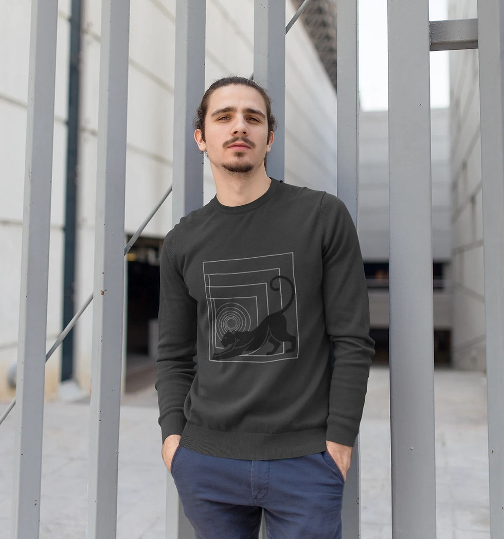 Black Black Panther Geometric Men's Sweatshirt