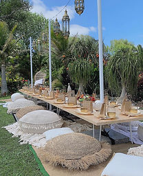 Long low table
