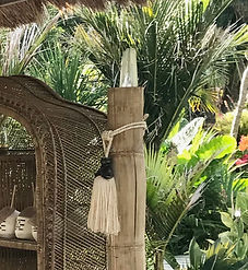 Single Crystal Bamboo Light