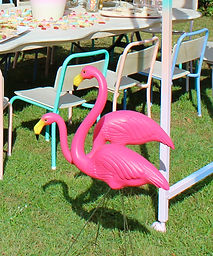 Pink Flamingoes