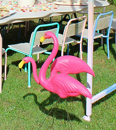 Pink Flamingoes