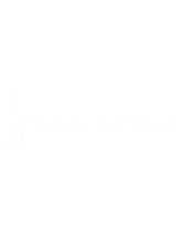 SAG.png