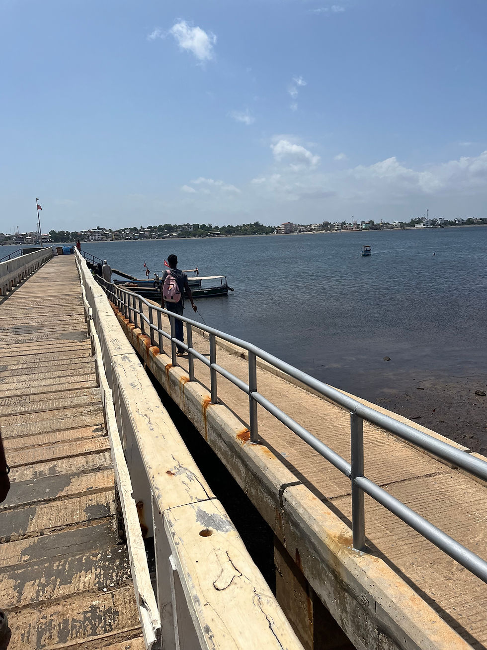 Person with a pink backpack walks on a pier towards boats under a clear blue sky. City skyline visible across the water. Arrival on Lamus island Jetty and Waterfront.