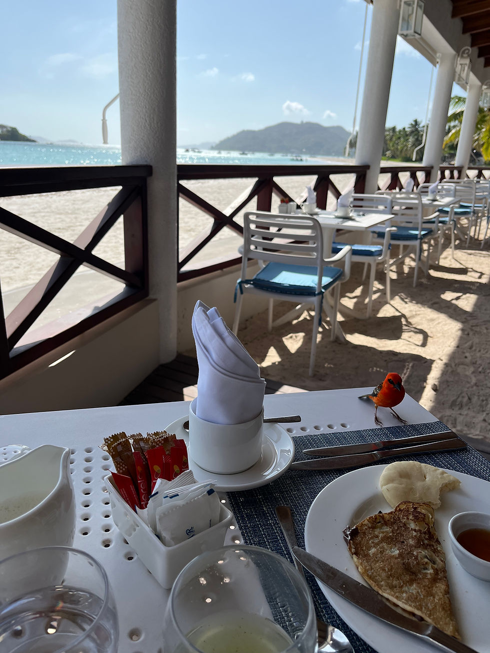 Beachside dining with a bird on a table set for breakfast. White chairs, blue cushions, ocean view, and mountains in the background. Peaceful mood.