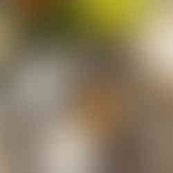 preparing the spices on the chef cooking table