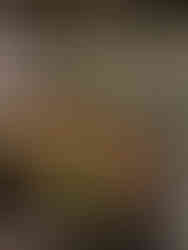 a lovely rose wine tasting & pairing at Franschhoek