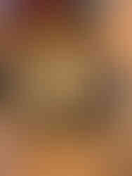 a lovely rose wine tasting & pairing at Franschhoek