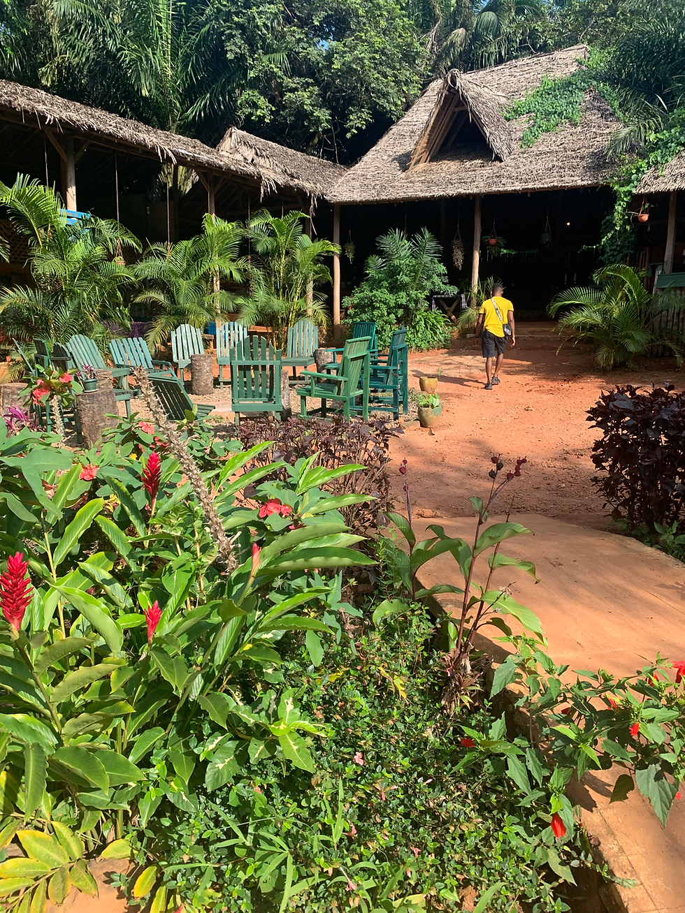 Magoroto Forest Camping & Lodges , Restaurant area, Mwanzaa , Tanzania