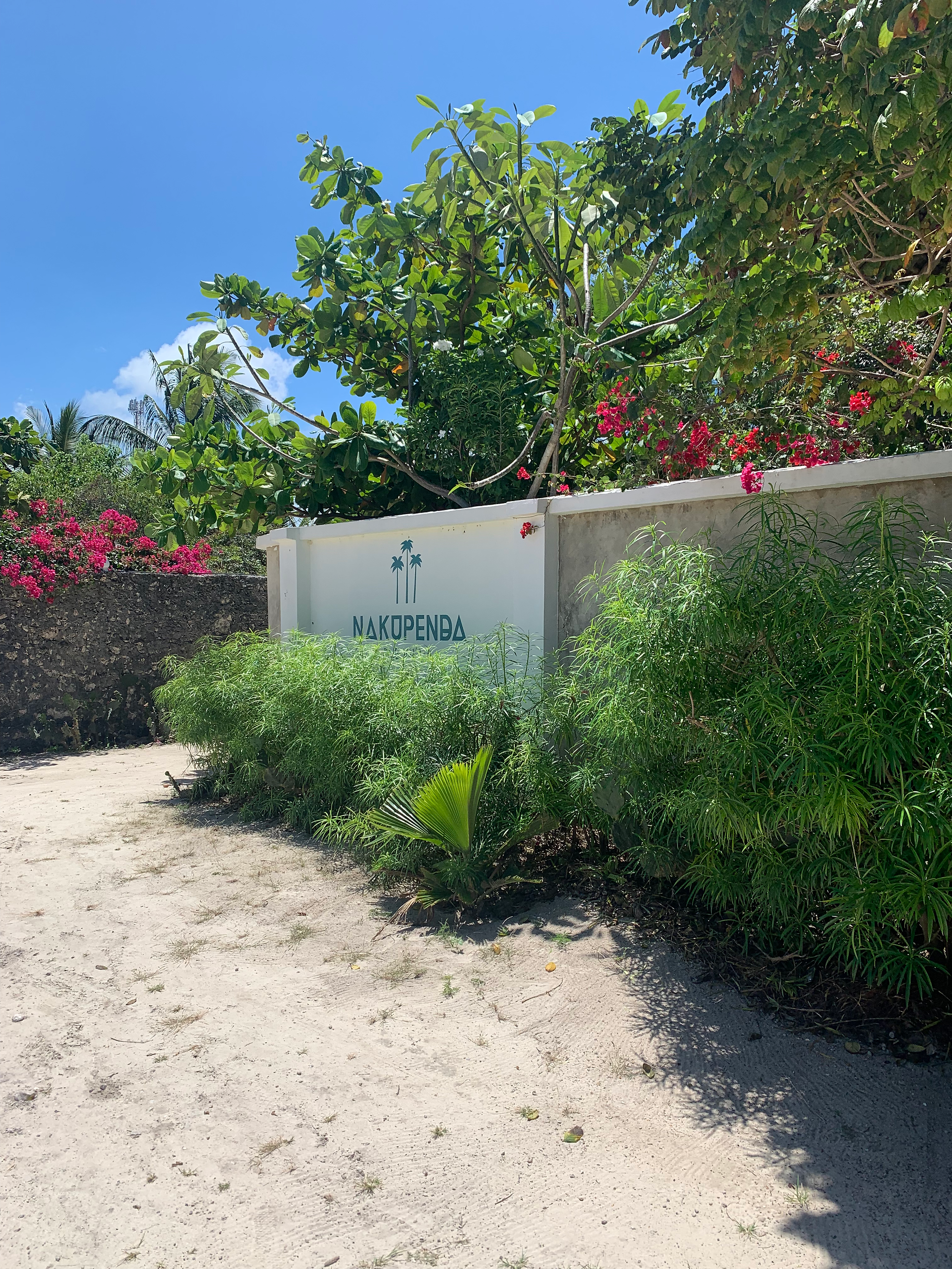 Gate outside of Villa and poolview at Nakupenda Villa , Paje