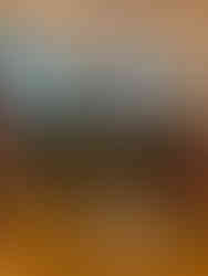 a lovely rose wine tasting & pairing at Franschhoek