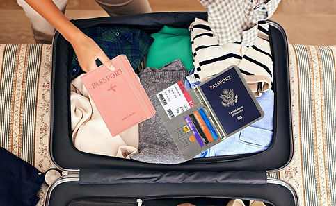 Stay Protected from Identity Theft with RFID Blocking Passport Holders