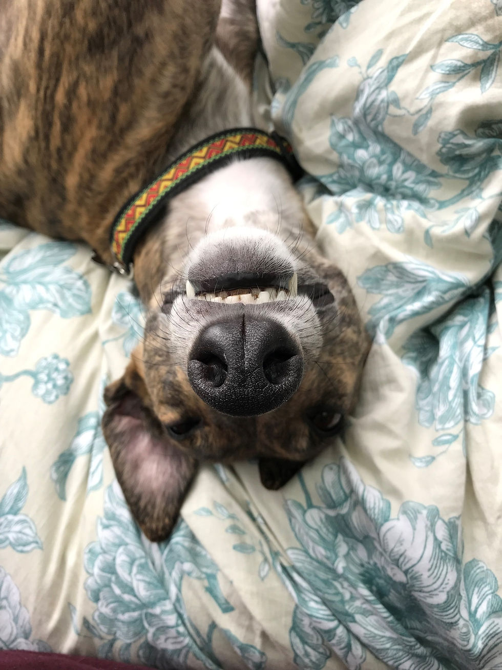 Birthday Blog