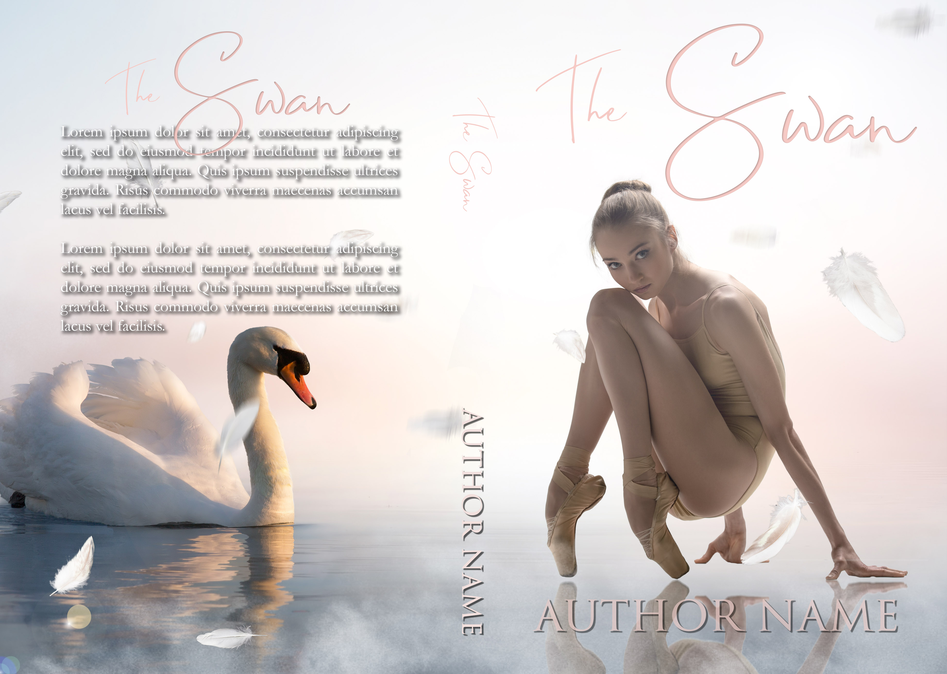 The Swan