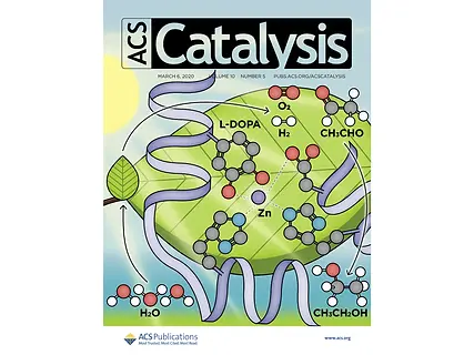 Graphical abstract 2.webp