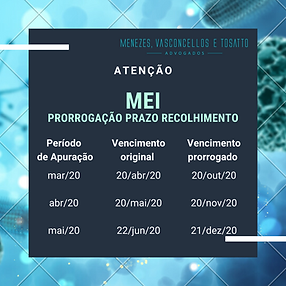 MVT - MEI (1).png