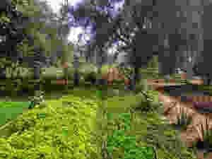 Visita a la Huerta de Mati