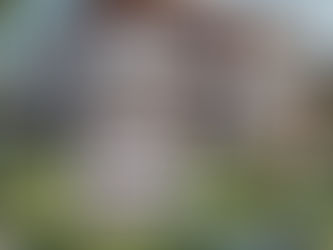 Cómo remodelar y vender tu casa hipotecada para obtener grandes ganancias sin gastar un solo peso