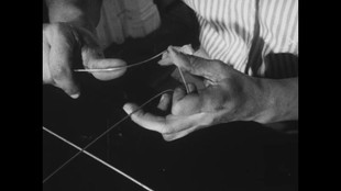 untitled image