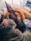 iStock-2205098669.jpg