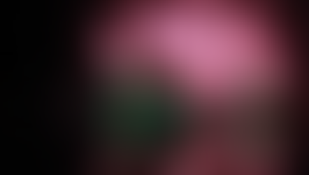 Festival de la Luz y de la Vida Chignahuapan 2022: fechas y costos 