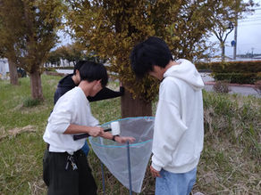 リタートラップを手作り。