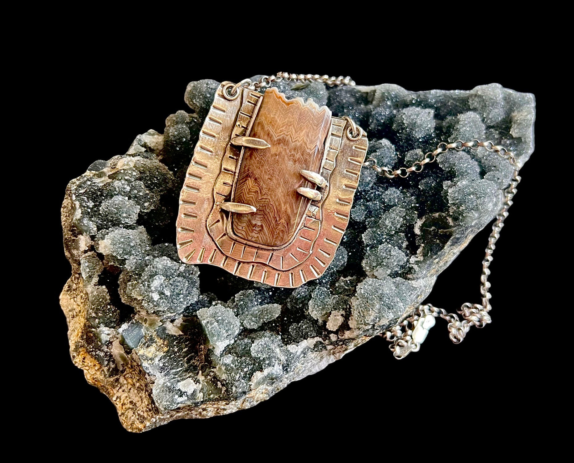 “A Place in Time” Petrified Wood Necklace
