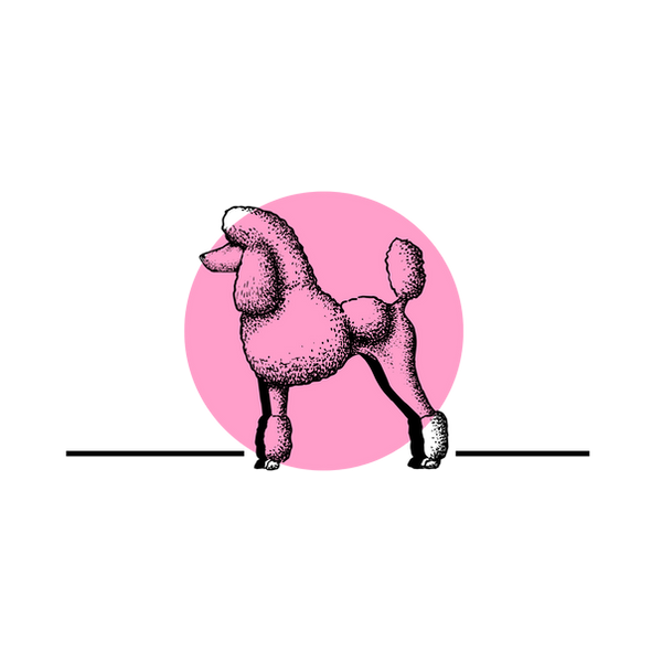 Pawlished Dog Grooming