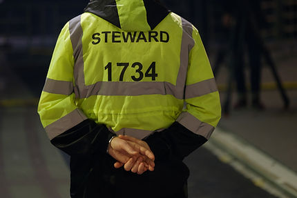 the-workings-of-a-security-stewards.jpeg