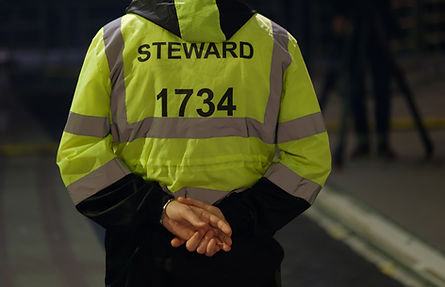 the-workings-of-a-security-stewards.jpeg