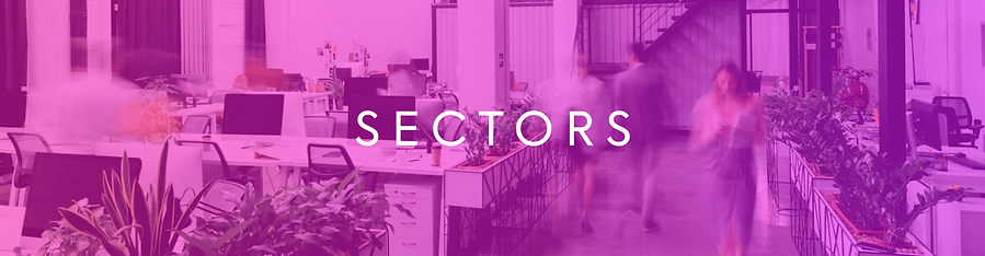 OOPS Sectors.png