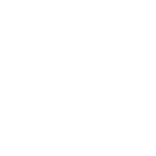 NETWORK VEC.png