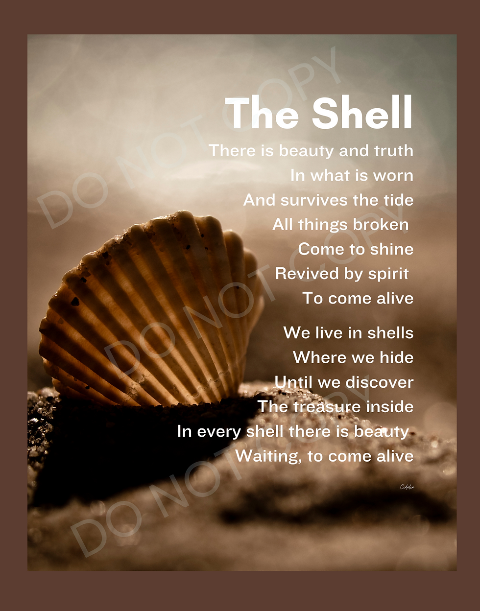 Thumbnail: The Shell: Poetry Print