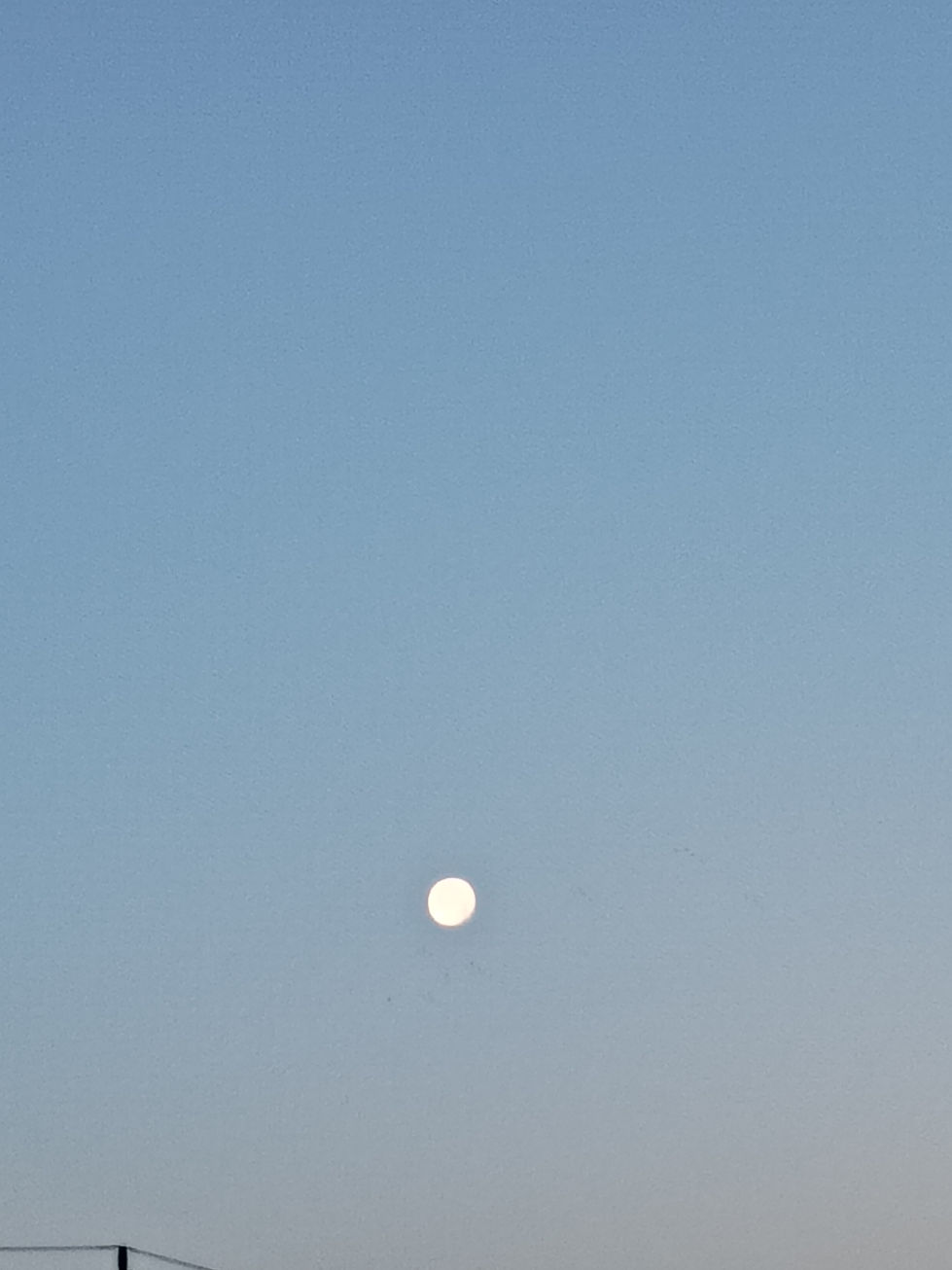 IMG_20250712_053411417[1]