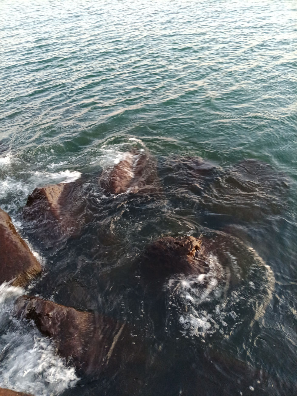 IMG_20251123_065346487_HDR[1]