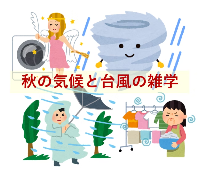 秋の気候と台風の雑学、そしてワクワクの秋の大展示会のお知らせ!