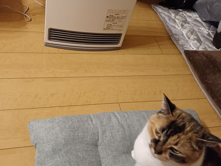 初めまして!自己紹介です!