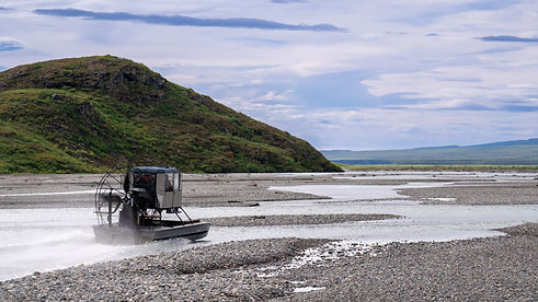 _DSC2401.jpg