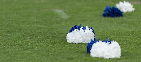 Cheer_pompoms.jpeg