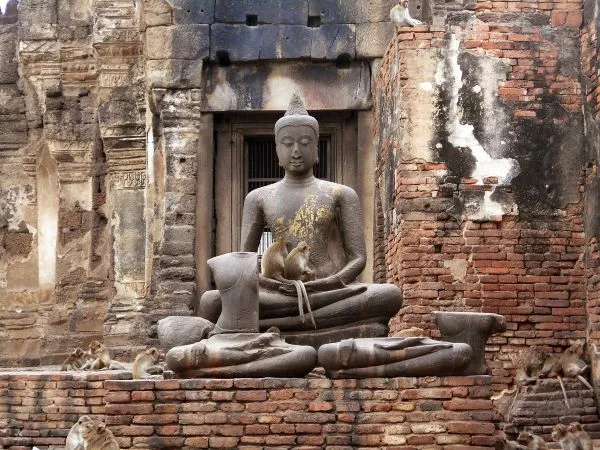 Monkey at Themple lopburi Thailand