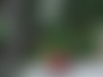 Hidimba temple , Manali