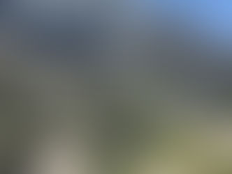 On the way to Lahaul , Himachal Pradesh