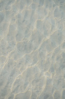 Beach Sand_edited_edited.jpg