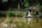 wedding3_edited.jpg
