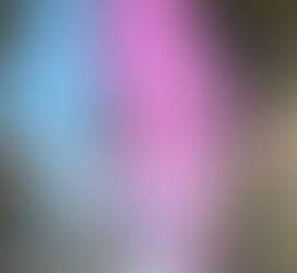 Book  Sabrina en Campanopolis