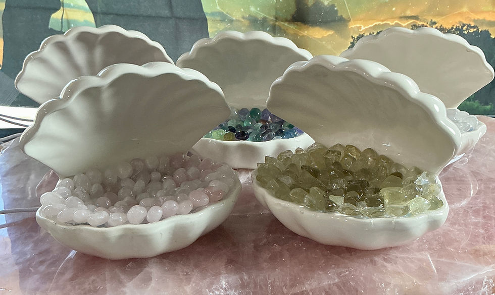 Thumbnail: ✨ Ocean Treasure Porcelain Shell Crystal Lamps